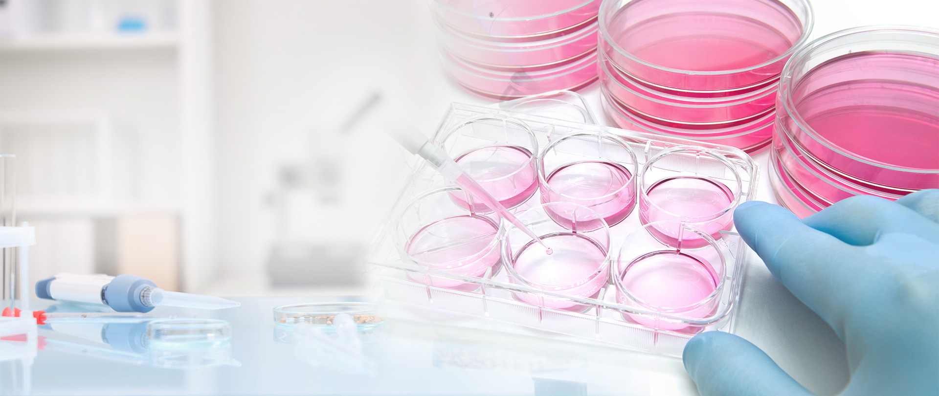 CMC Pharmaceutical Development